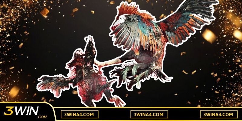 Cược gà online với nhiều hình thức hấp dẫn