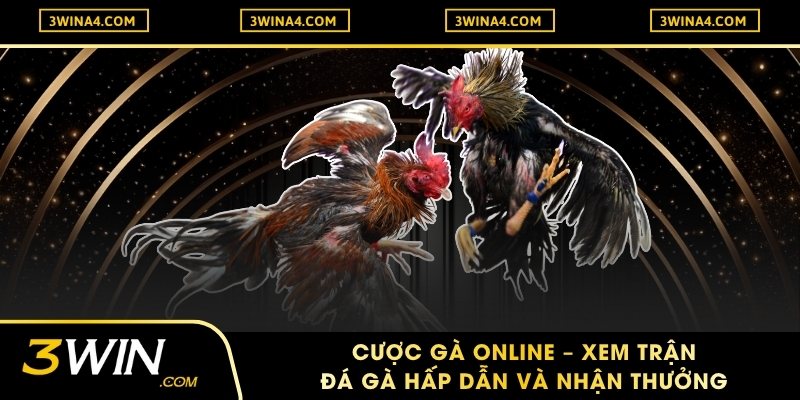 Cược Gà Online – Xem Trận Đá Gà Hấp Dẫn Và Nhận Thưởng
