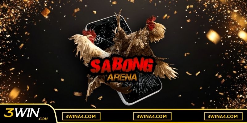 Đặt cược cho chiến kê khách với đòn tấn công mạnh