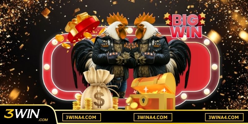 Sơ lược về cách cược gà đá