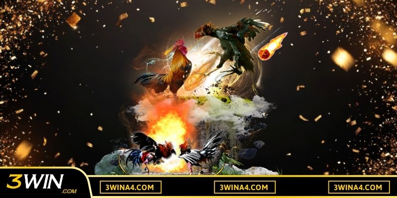 Xem ngày đá gà mang đến nhiều lợi ích cho người chơi